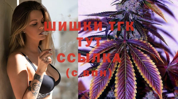 apvp Алексин