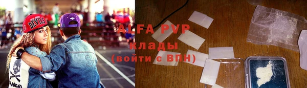 индика Арсеньев