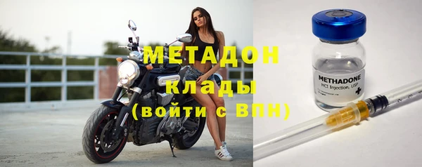 индика Арсеньев