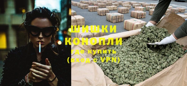 прущий лед Алзамай