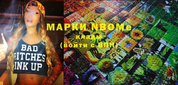 apvp Алексин