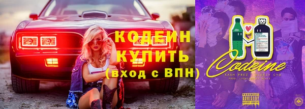 индика Арсеньев