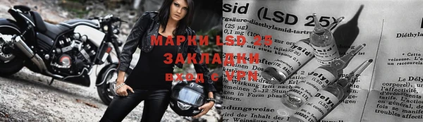 индика Арсеньев